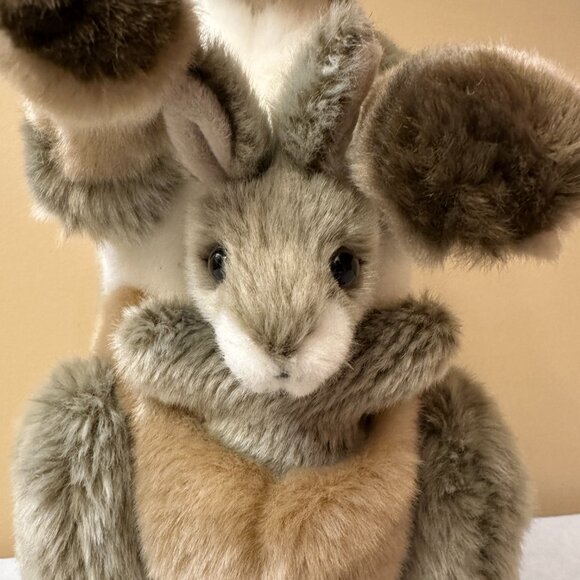 2 SOS Save Our Space Plush Toys / Kangaroo with Joey and Capybara - Picture 7 of 12